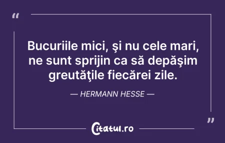 Citeste si: Bucuriile mici, şi nu cele mari, ne sunt...