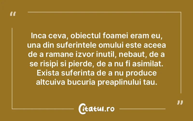 Inca ceva, obiectul foamei eram eu, una din suferintele omului este aceea de a ramane izvor inutil, nebaut, de a se risipi si pierde, de a nu fi asimilat. Exista suferinta de a nu produce altcuiva bucuria preaplinului tau.