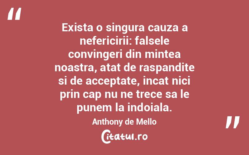 Exista o singura cauza a nefericirii: falsele convingeri din mintea noastra, atat de raspandite si de acceptate, incat nici prin cap nu ne trece sa le punem la indoiala. Anthony de Mello
