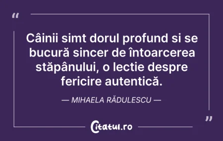 Citeste si: Câinii simt dorul profund și se bucură s...