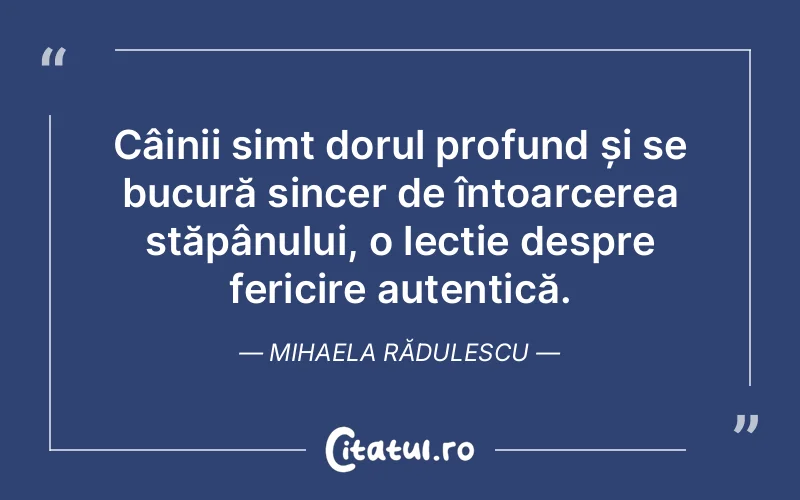 Câinii simt dorul profund și se bucură sincer de întoarcerea stăpânului, o lecție despre fericire autentică. Mihaela Rădulescu