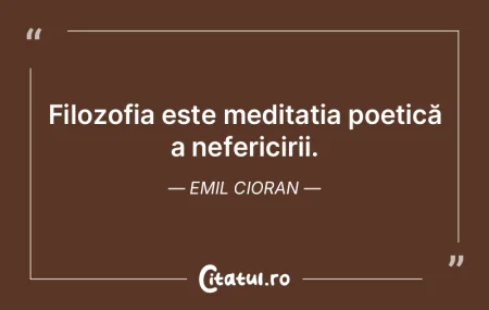 Filozofia este meditația poetică a nef...