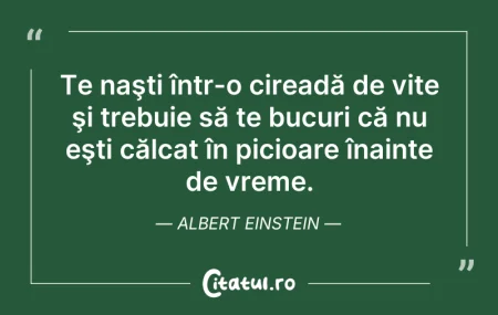 Citeste si: Te naşti într-o cireadă de vite şi trebu...