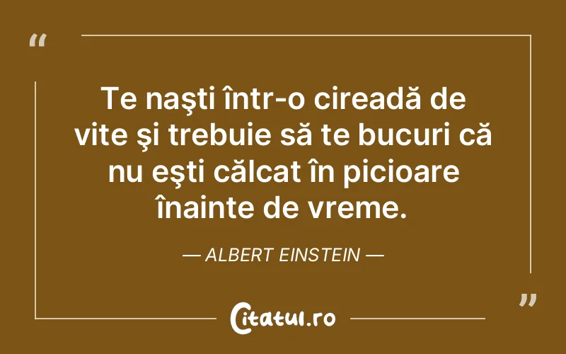 Te naşti într-o cireadă de vite şi trebuie să te bucuri că nu eşti călcat în picioare înainte de vreme. Albert Einstein