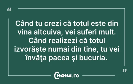 Când tu crezi că totul este din vina a...