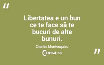 Libertatea e un bun ce te face să te bu...