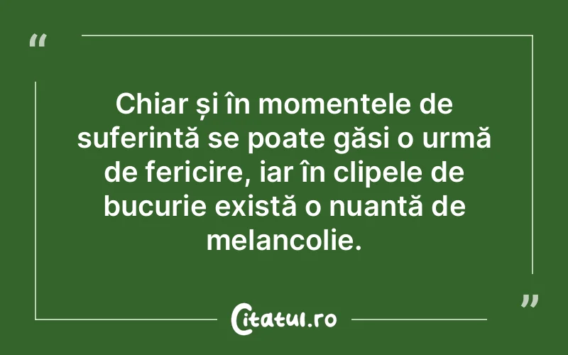 Chiar și în momentele de suferință se poate găsi o urmă de fericire, iar în clipele de bucurie există o nuanță de melancolie.