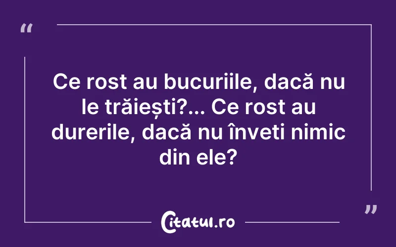 Ce rost au bucuriile, dacă nu le trăiești?... Ce rost au durerile, dacă nu înveți nimic din ele?
