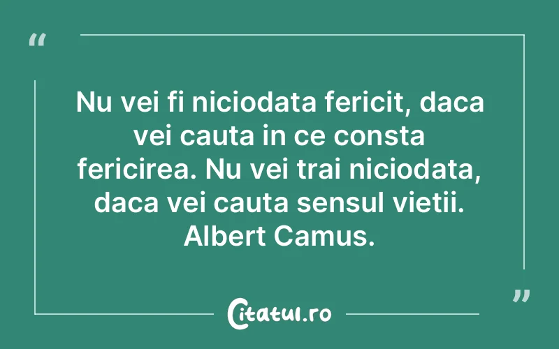 Nu vei fi niciodata fericit, daca vei cauta in ce consta fericirea. Nu vei trai niciodata, daca vei cauta sensul vietii. Albert Camus.
