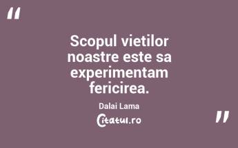 Scopul vietilor noastre este sa experimentam fericirea. Dalai Lama...