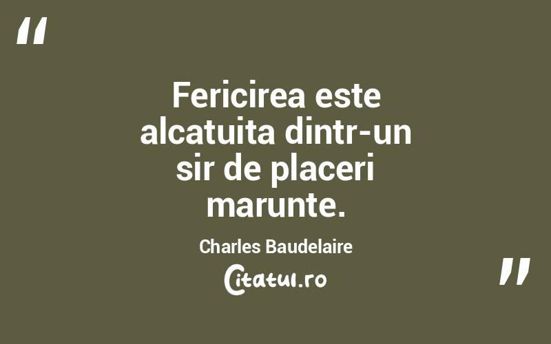 Fericirea este alcatuita dintr-un sir de placeri marunte. Charles Baudelaire