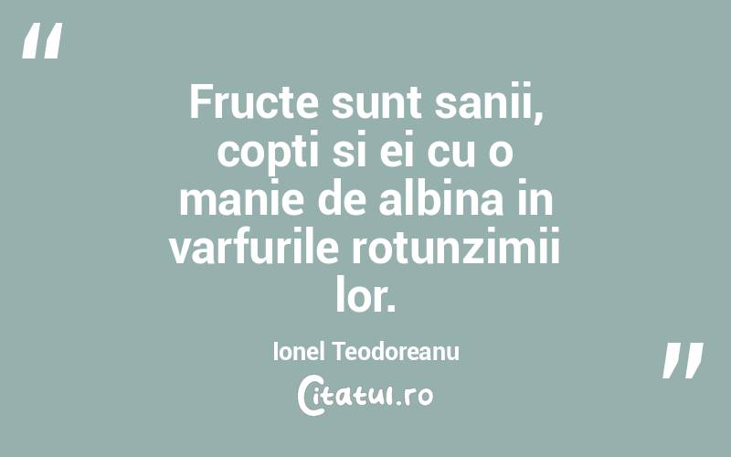 Fructe sunt sanii, copti si ei cu o manie de albina in varfurile rotunzimii lor. Ionel Teodoreanu