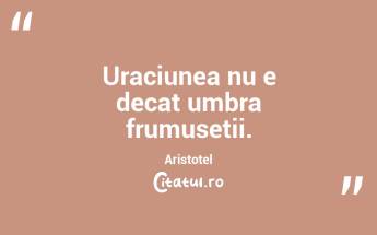 Uraciunea nu e decat umbra frumusetii. Aristotel...