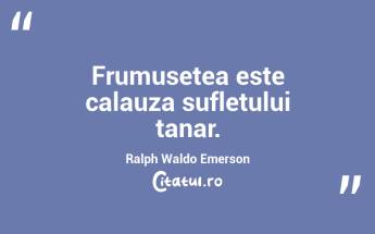 Frumusetea este calauza sufletului tanar. Ralph Waldo Emerson...
