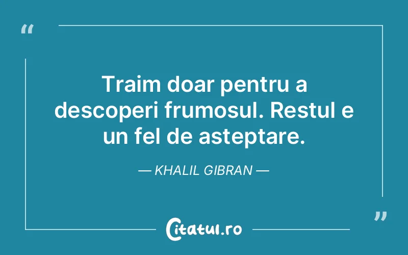 Traim doar pentru a descoperi frumosul. Restul e un fel de asteptare. Khalil Gibran