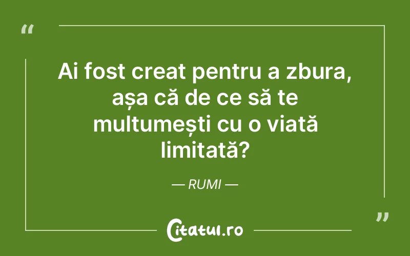 Ai fost creat pentru a zbura, așa că de ce să te mulțumești cu o viață limitată? Rumi