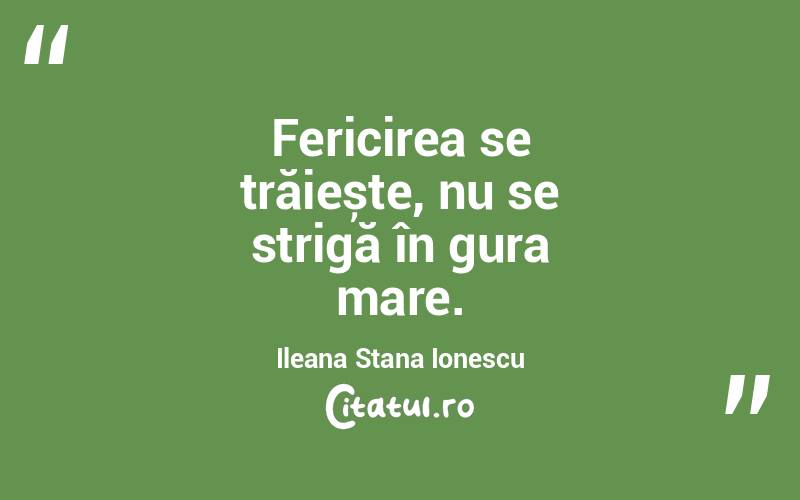 Fericirea se trăiește, nu se strigă în gura mare. Ileana Stana Ionescu