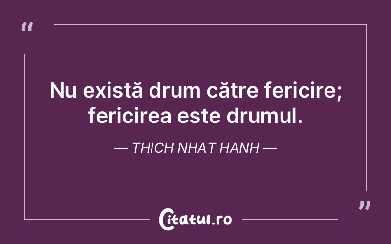 Nu există drum către fericire; fericirea este drumul. Thich Nhat Hanh