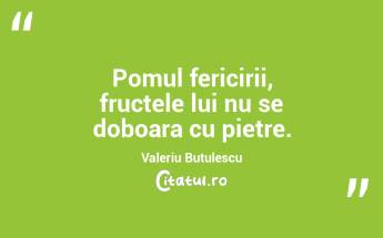 Pomul fericirii, fructele lui nu se doboara cu pietre. Valeriu Butulescu...