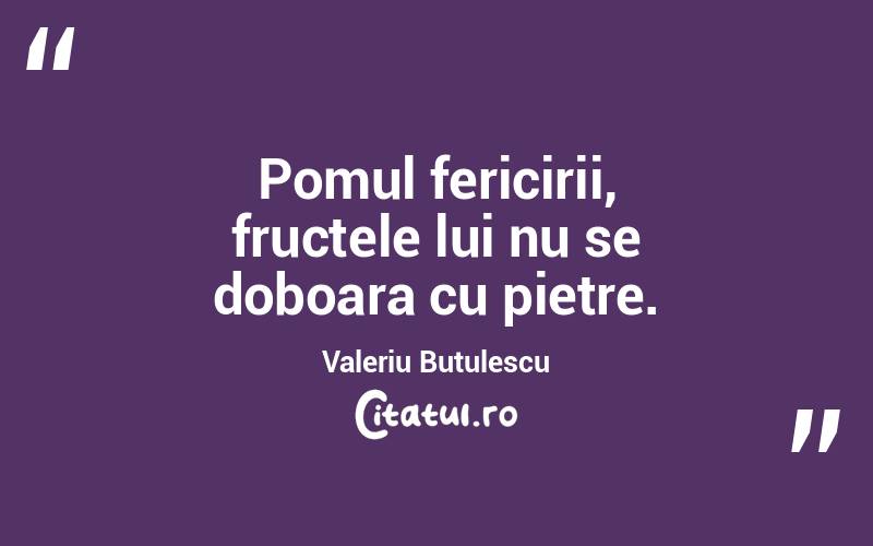 Pomul fericirii, fructele lui nu se doboara cu pietre. Valeriu Butulescu