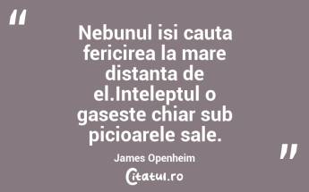 Nebunul isi cauta fericirea la mare distanta de el.Inteleptul o gaseste chiar sub picioarele sale. James Openheim...