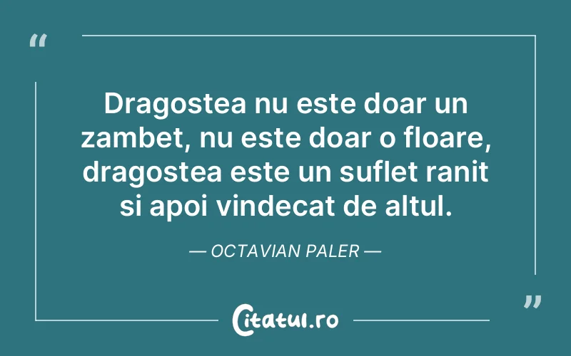 Dragostea nu este doar un zambet, nu este doar o floare, dragostea este un suflet ranit si apoi vindecat de altul. Octavian Paler