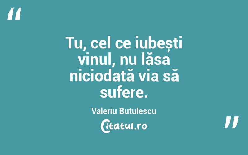 Tu, cel ce iubești vinul, nu lăsa niciodată via să sufere. Valeriu Butulescu
