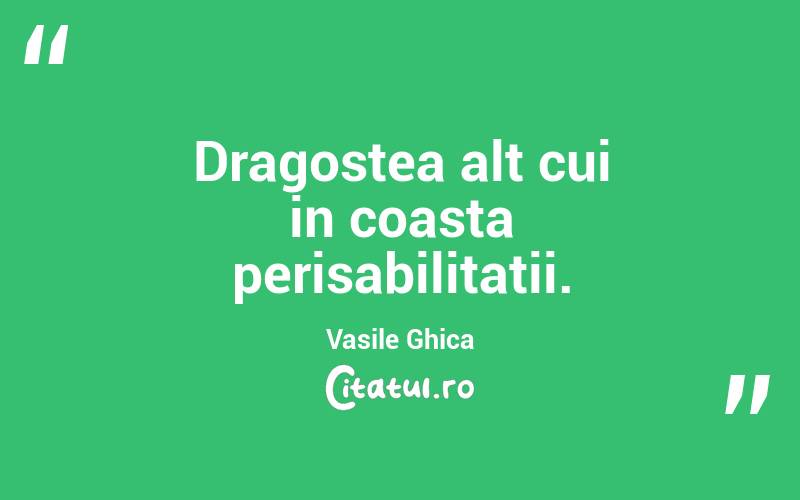 Dragostea alt cui in coasta perisabilitatii. Vasile Ghica
