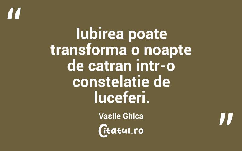 Iubirea poate transforma o noapte de catran intr-o constelatie de luceferi. Vasile Ghica
