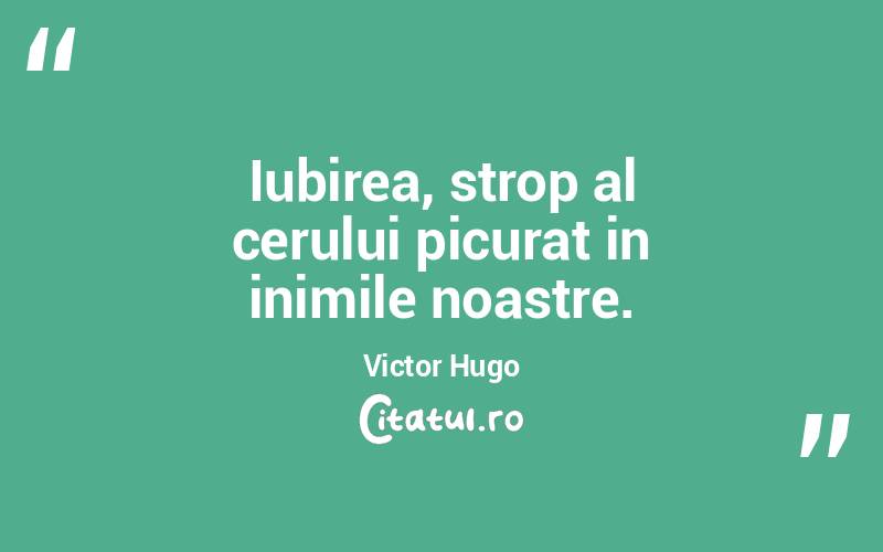 Iubirea, strop al cerului picurat in inimile noastre. Victor Hugo
