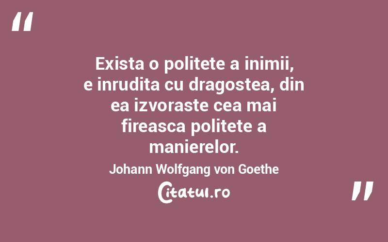 Exista o politete a inimii, e inrudita cu dragostea, din ea izvoraste cea mai fireasca politete a manierelor. Johann Wolfgang von Goethe
