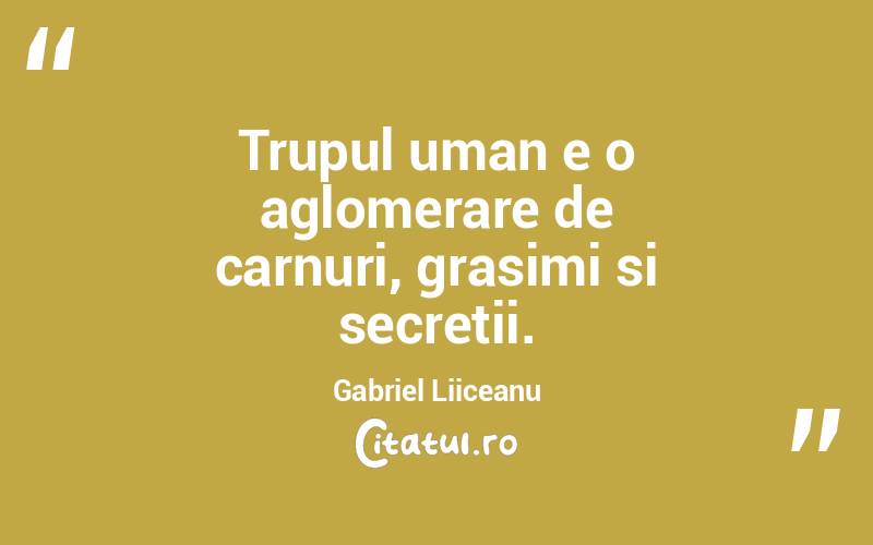 Trupul uman e o aglomerare de carnuri, grasimi si secretii. Gabriel Liiceanu
