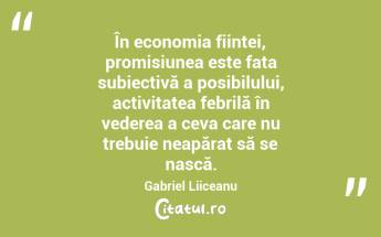 În economia ființei, promisiunea este fața subiectivă a posibilului, activitatea febrilă în vederea a ceva care nu trebuie neapărat să se nască. Gabriel Liiceanu...