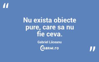 Nu exista obiecte pure, care sa nu fie ceva. Gabriel Liiceanu...