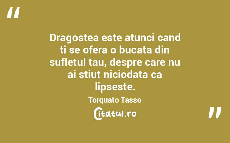 Dragostea este atunci cand ti se ofera o bucata din sufletul tau, despre care nu ai stiut niciodata ca lipseste. Torquato Tasso
