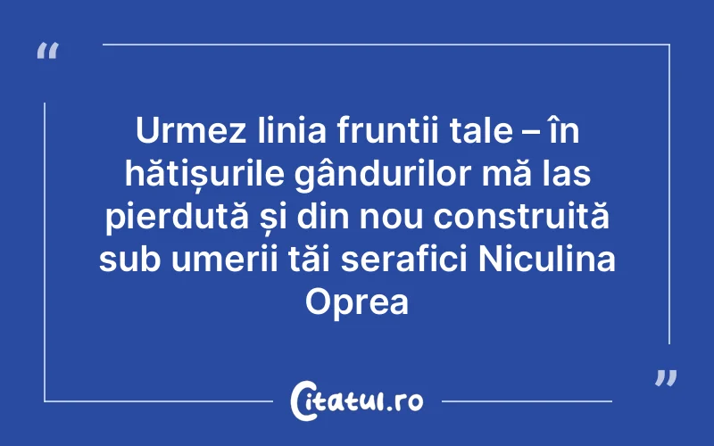 Urmez linia frunții tale – în hățișurile gândurilor mă las pierdută și din nou construită sub umerii tăi serafici Niculina Oprea