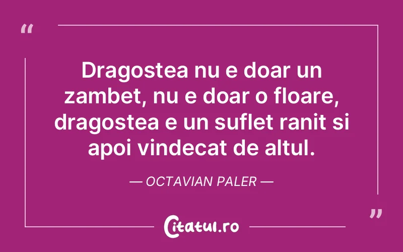 Dragostea nu e doar un zambet, nu e doar o floare, dragostea e un suflet ranit si apoi vindecat de altul. Octavian Paler
