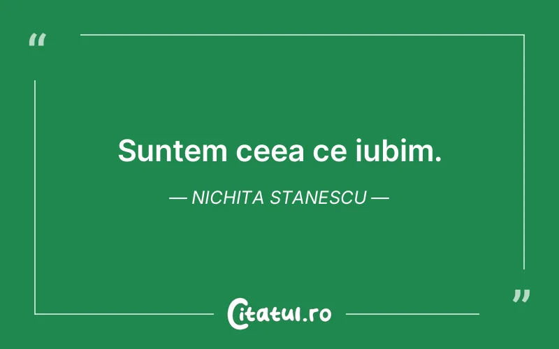 Suntem ceea ce iubim. Nichita Stanescu