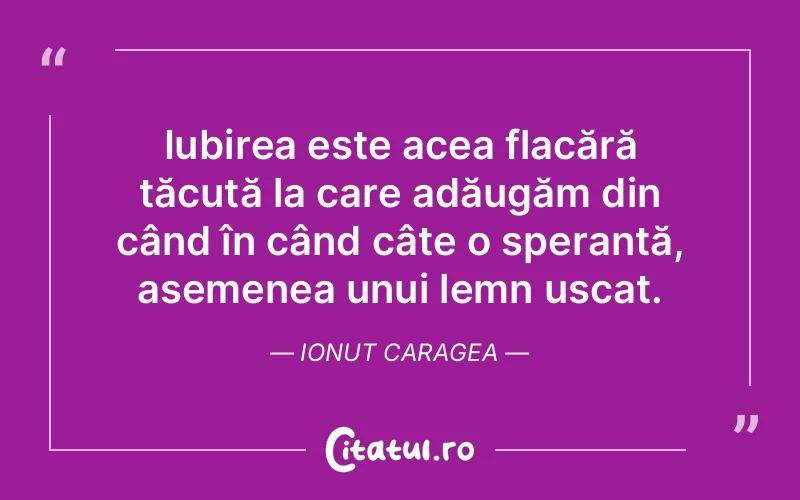 Iubirea este acea flacără tăcută la care adăugăm din când în când câte o speranță, asemenea unui lemn uscat. Ionut Caragea