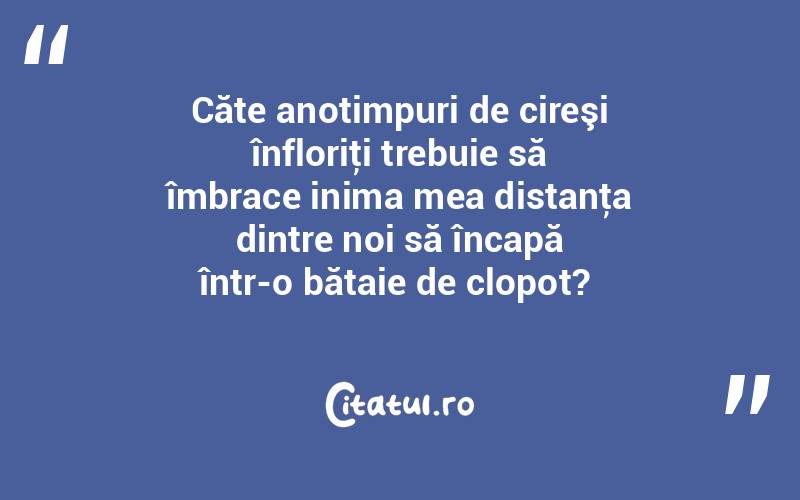 Căte anotimpuri de cireşi înfloriţi trebuie să îmbrace inima mea distanţa dintre noi să încapă într-o bătaie de clopot? 
