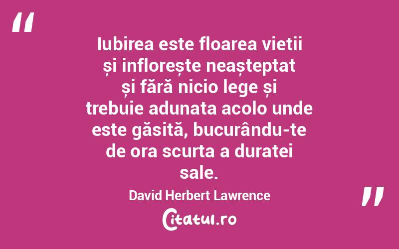 Iubirea este floarea vieții și inflorește neașteptat și fără nicio lege și trebuie adunata acolo unde este găsită, bucurându-te de ora scurta a duratei sale. David Herbert Lawrence
