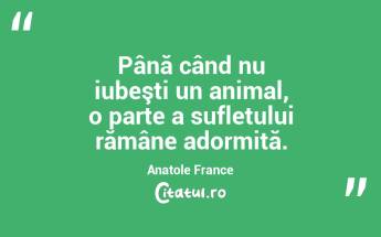  Până când nu iubeşti un animal, o parte a sufletului rămâne adormită. Anatole France...