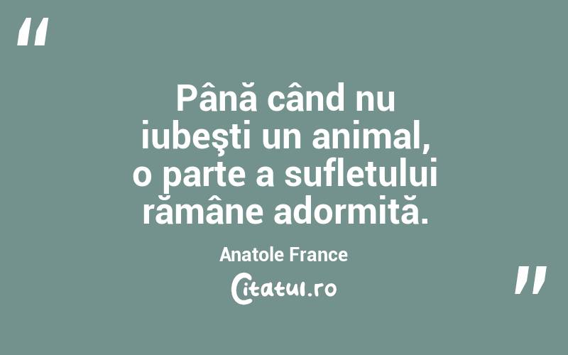  Până când nu iubeşti un animal, o parte a sufletului rămâne adormită. Anatole France
