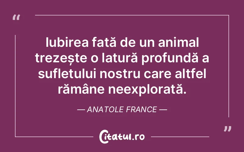 Iubirea față de un animal trezește o latură profundă a sufletului nostru care altfel rămâne neexplorată. Anatole France
