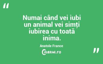 Numai când vei iubi un animal vei simţi iubirea cu toată inima. Anatole France...