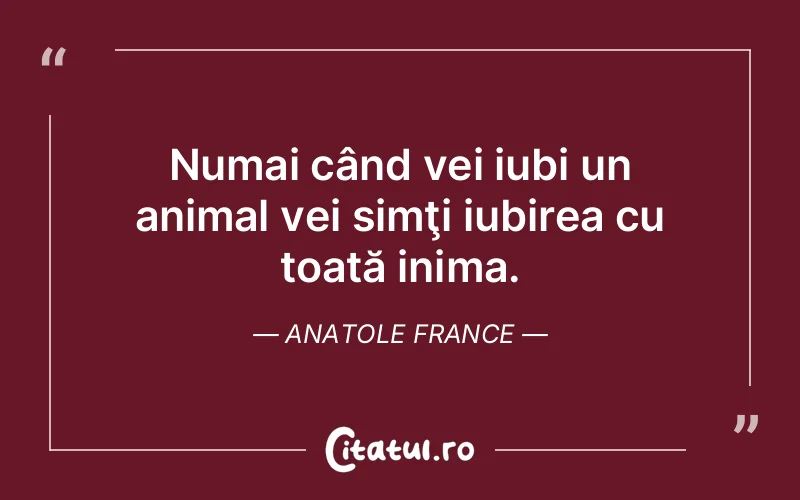 Numai când vei iubi un animal vei simţi iubirea cu toată inima. Anatole France