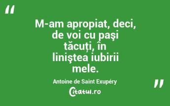 M-am apropiat, deci, de voi cu paşi tăcuţi, în liniştea iubirii mele. Antoine de Saint Exupéry...