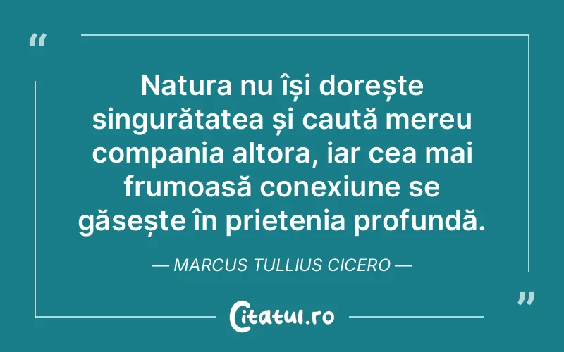 Natura nu își dorește singurătatea și caută mereu compania altora, iar cea mai frumoasă conexiune se găsește în prietenia profundă. Marcus Tullius Cicero