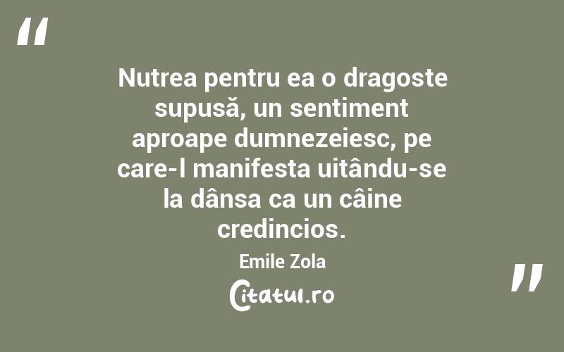  Nutrea pentru ea o dragoste supusă, un sentiment aproape dumnezeiesc, pe care-l manifesta uitându-se la dânsa ca un câine credincios. Emile Zola

