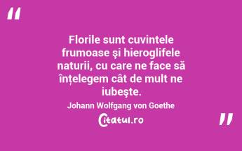  Florile sunt cuvintele frumoase şi hieroglifele naturii, cu care ne face să înţelegem cât de mult ne iubeşte. Johann Wolfgang von Goethe...